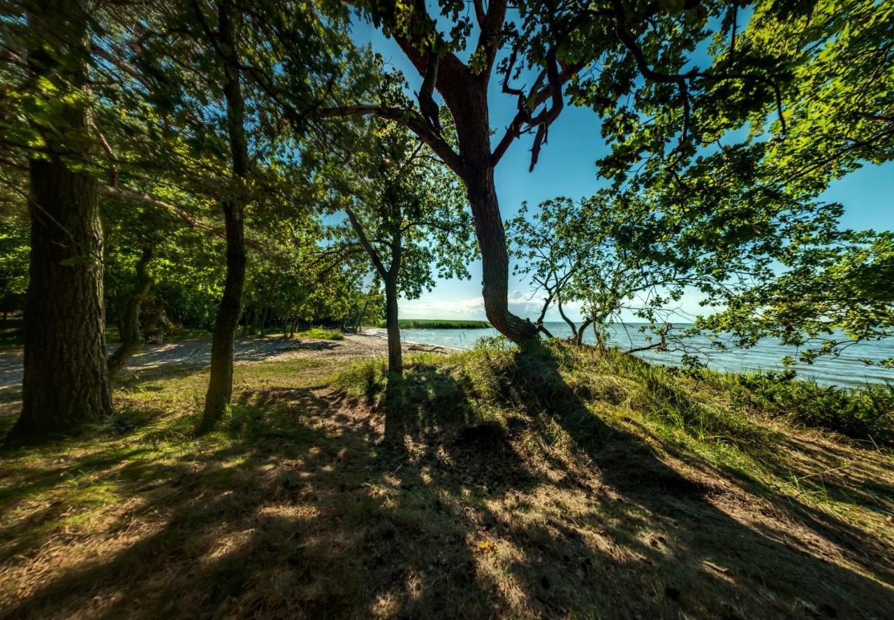 Traumhaff Kuestenchalets - Einzigartige Chalets An Der Ostsee. Ganz Aus Laerchenholz Mit Kamin Und Sauna Vogelsang-Warsin Екстер'єр фото